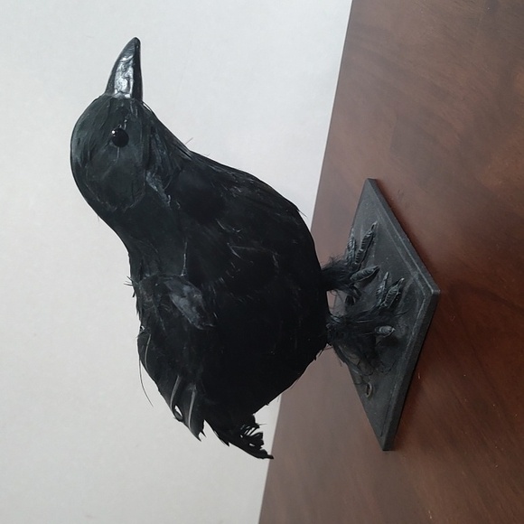 Black Raven Crow Sculpture Real Feathers Bird Halloween Decor Movie Set Prop - Picture 4 of 14